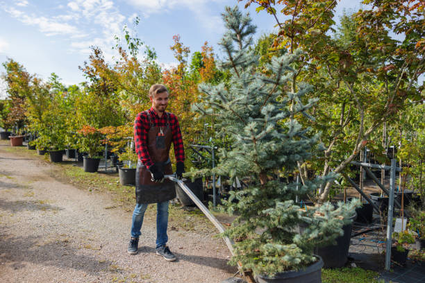 Best Hedge Trimming  in Chanhassen, MN